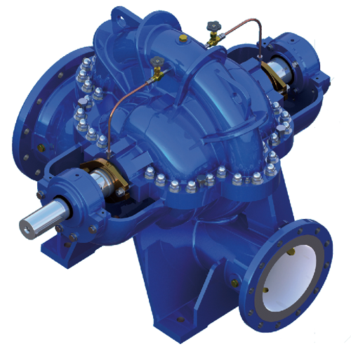 2020061010070489521080